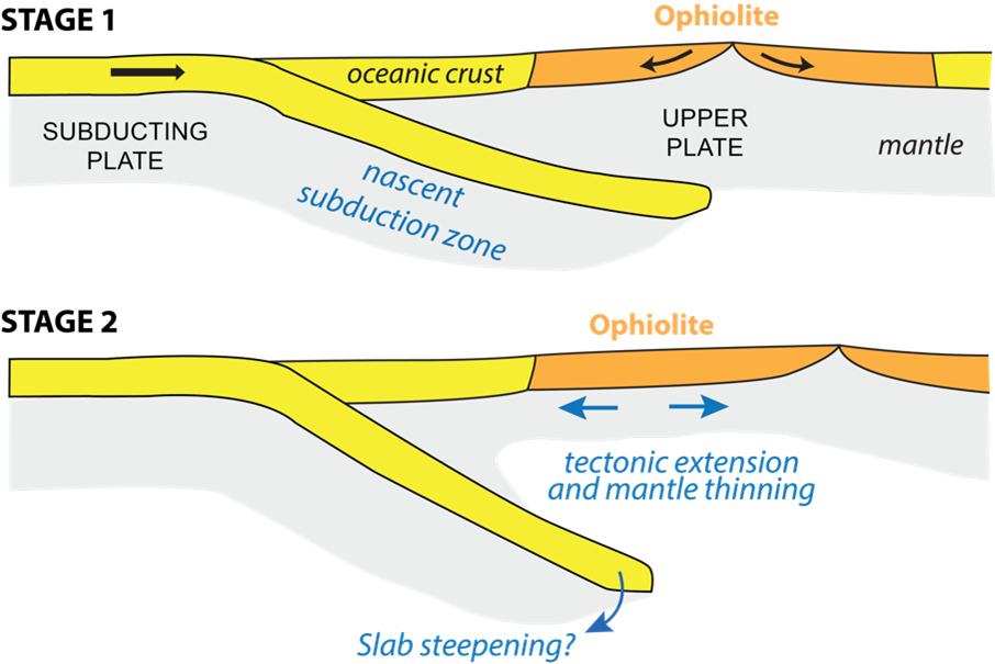 Graphic depicting Tectonic model of subduction initiation showing how the mantle of the upper plate orange in colour, which is part of a forming ophiolite, experiences thinning during the initial sinking of oceanic lithosphere into the mantle.. The oceanic crust is yellow in colour 