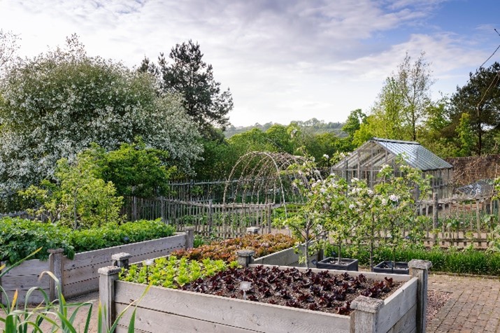photo of a garden with vegetable beds, fruit trees and a greenhouse