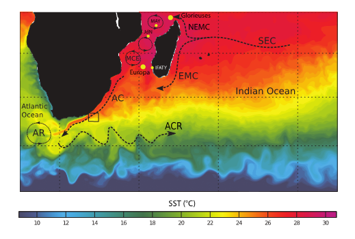 Graphic showing sea surface temperatures