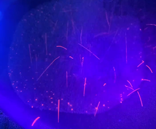 Photo of the movement of microplastics about 0.2 mm diameter in air showing the trajectory and relative velocity of particles.