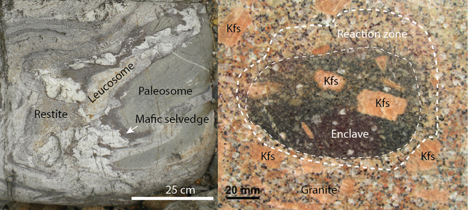 Picture shows Heterogeneous rocks may be formed during metamorphism and partial melting, like migmatite on the left, or by magmatic processes such as assimilation and magma mingling, like the granite on the right.