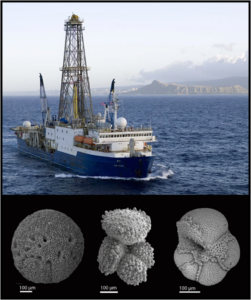A photograph of a ship and three images of fossils.