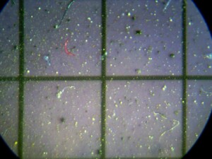 Image of microplastic particles identified in snow sample.