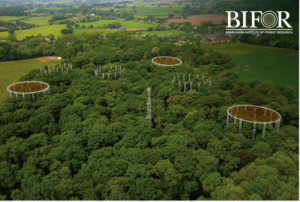Aerial view showing the trees and structures of the BiFOR FACE facility in Staffordshire.