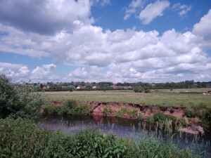 The photo shows a meadow situated in the River Wye floodplain with a village at the distance. No brightly colored flowers can be seen in vegetation, which is dominated by grasses. The river bank exposes Old Red Sandstone type soils underlying the meadow. 