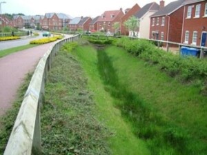 Photo of grassy swale, showing development of wet grassland vegetation in its base, sandwiched between a road and a row of houses.