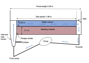 Schematic figure to illustrate custom-built recirculating flume experimental system, comprising of 3 separate units each containing 3 flumes. Each flume is 1.98 m, long, 0.1m wide and 0.2 m deep.