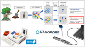 Schematic illustration of environmental sampling, DNA extraction and PCR approaches to species identification.