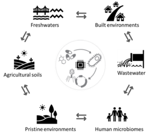 The image indicates the various sampling sites, including publicly available data, i.e. for the human gut microbiome. The antimicrobial resistance (AMR) genes encoded within bacterial genomes, and those likely spread via mobile genetic elements across the natural and built environments will be assessed. These environments include, agricultural soils, freshwaters, wastewater, built environments alongside publicly available human microbiome datasets. The computer chip in the middle of the figure indicates computational analyses in conjunction with wet-lab methodologies for assessing the transport of AMR.