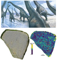 Artist reconstruction of sauropod dinosaur track site in Dorset, and 3D model and depth map of track site
