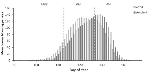 Graph showing how woodland bluebells under elevated carbon dioxide start flowering earlier than plants in ambient air.
