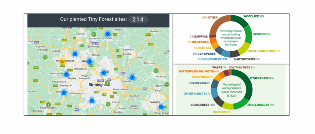 A composite image featuring a map and two pie charts. The map on the left shows 214 Tiny Forest sites planted around Birmingham, UK, marked with blue dots. The top pie chart on the right displays percentages of ground-dwelling invertebrates: woodlice (16%), spiders (15%), snails and slugs (12%), earthworms (8%), ground beetles (7%), centipedes (6%), beetles (5%), millipedes (5%), earwigs (2%), and other groups (24%). The bottom pie chart shows pollinator data from 2022: other flies (34%), small insects (14%), beetles (10%), bumblebees (10%), hoverflies (8%), honeybees (5%), butterflies and moths (4%), wasps (