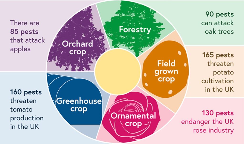 Circular diagram listing in a clockwise direction forestry, field grown crop, ornamental crop, greenhouse crop, and orchard crop and the number of pests that threaten or endanger each of them.