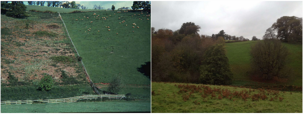 The two photos show the progression from grass and bracken to extensive woodland cover in the area retired from grazing.
