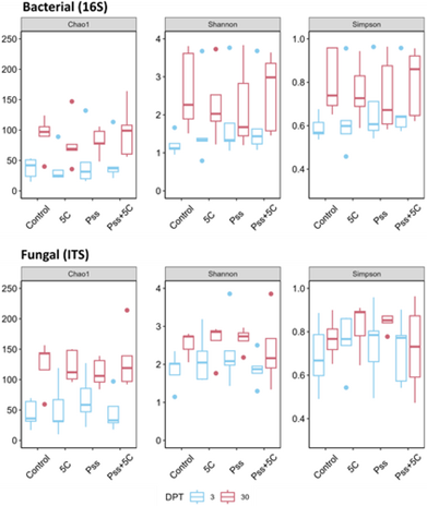 Box plots compare bacterial (16S) and fungal (ITS) diversity across Control, 5C, Pas, and Pas+SC conditions using Chao1, Shannon, and Simpson indices. Red boxes show day 30 samples; blue boxes show DPT samples. Bacterial Chao1 values are higher at day 30 in the Control group. Fungal diversity trends are similar across conditions. The image highlights microbial diversity changes over time and treatment.