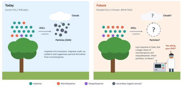 Illustration: under high CO2, total forest VOC emission falls but its capacity to form aerosol may rise.