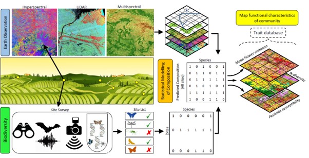 Biodiversity samples from eDNA and EO maps combine to predict biodiversity across catchments.