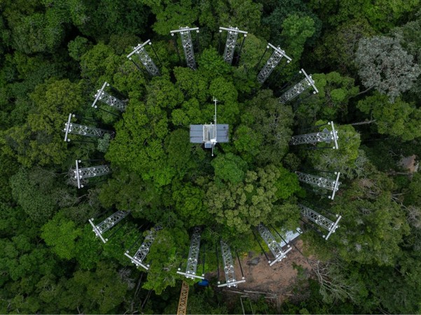 View from above of tall towers sticking through Amazon canopy.