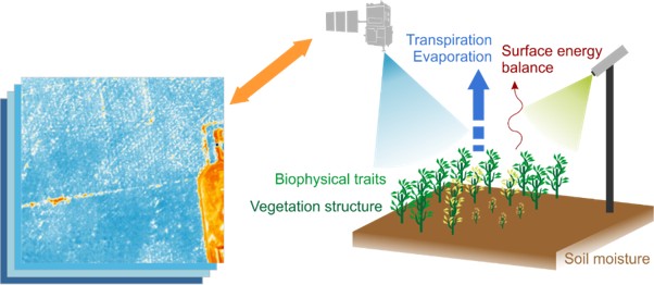 Schematic shows ground-based thermal and optical sensors monitoring plant canopy temperature and vegetation stress.