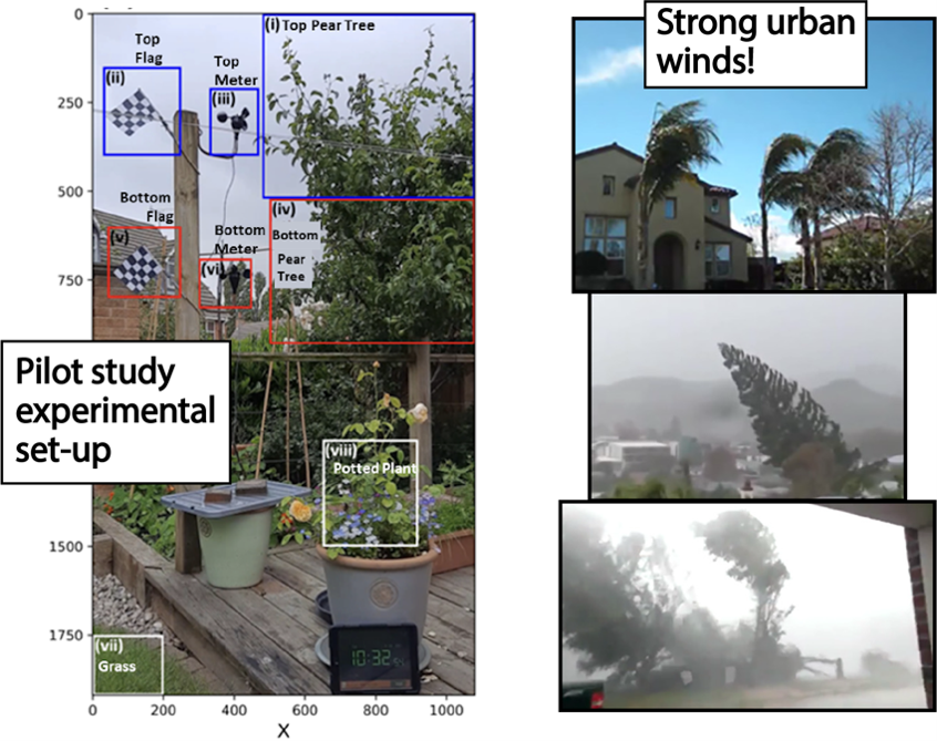 Left - Pilot experimental set-up with trees, flags, anemometer and data logger. Right - urban trees blowing in strong wind.
