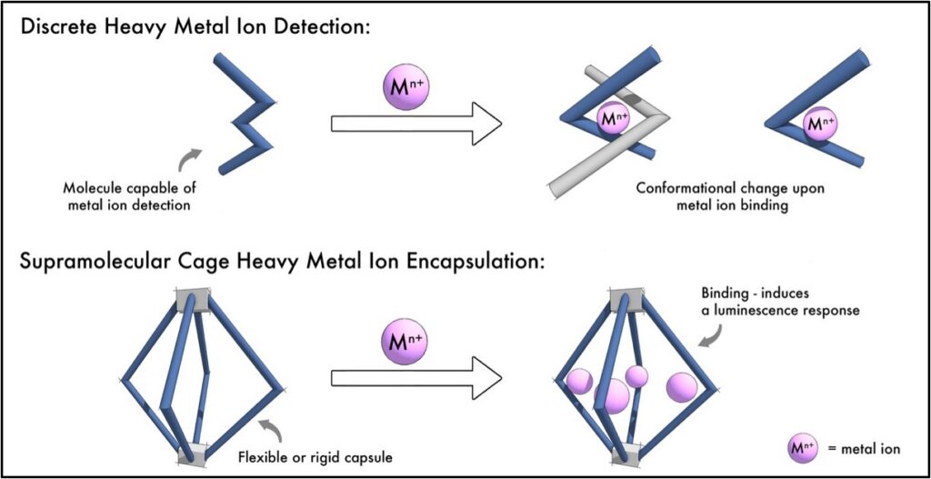 Image of heavy metal ion detection in water samples, showing discrete and supramolecular cages used in detecting heavy metal ions.