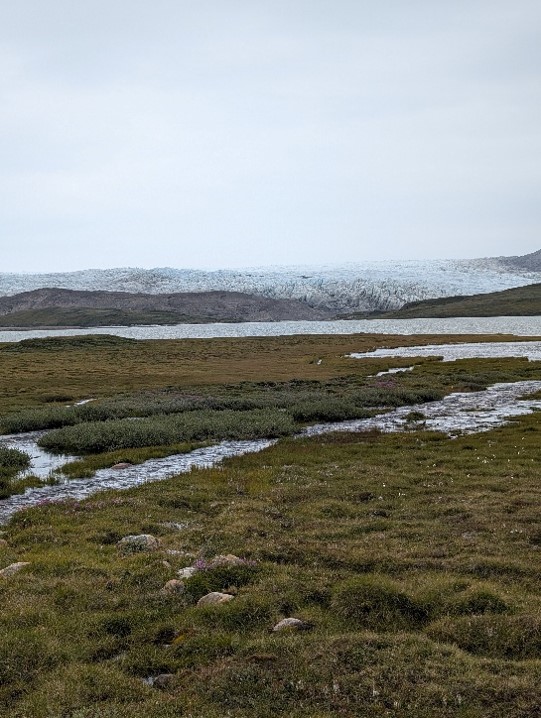 Landscape near Kangerlussuaq showing the Greenland Ice Sheet edge, a lake and hummocky grass connected with surface streams.
