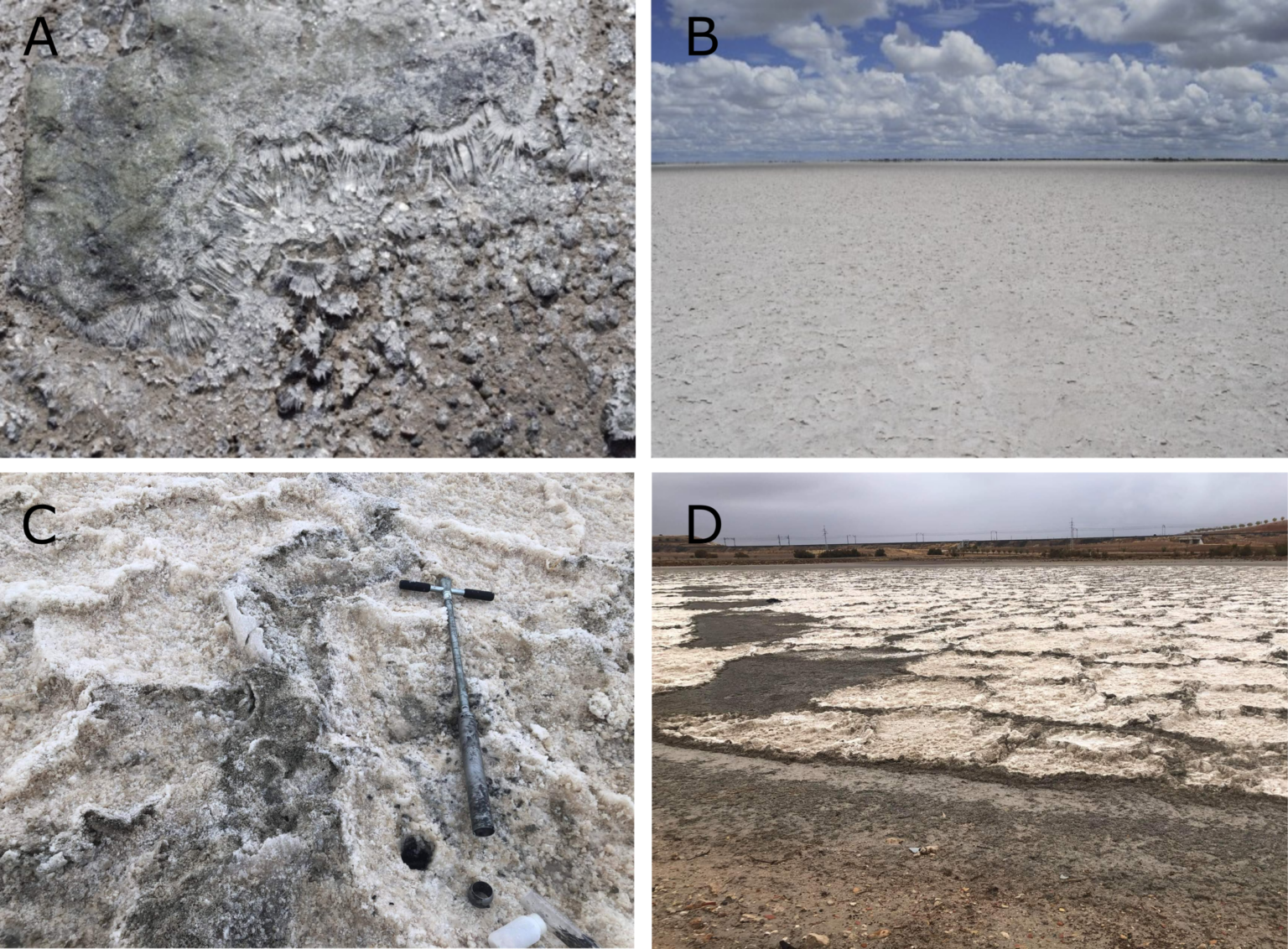 Four photographs of salt rich hypersaline environments in Botswana and Spain, including salt crystals fanning out over a rocky surface, a large flat desolate salt pan with no features just miles of cream coloured salty sediment and a blue cloudy sky from Botswana, and salt crust with undulating surface and a sample corer placed in the picture and finally salty hexagons in a desiccated lake bed with pylons running along the back of the landscape, in Spain