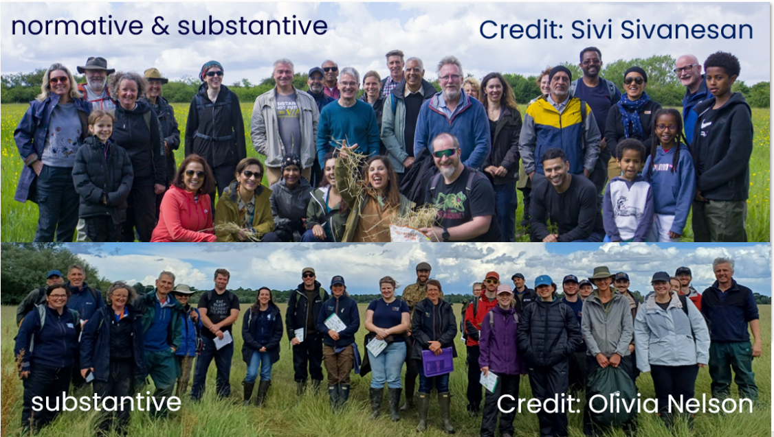 Environmental scientists, engaging with different constituencies. The top image, which is more diverse, was informed by normative and substantive dimensions, the bottom by substantive dimensions.