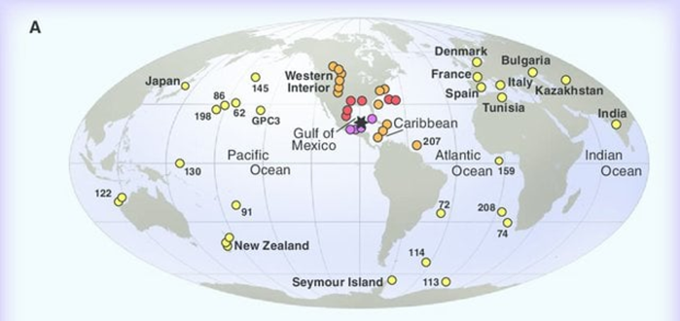 Scientific diagram mapping the K–Pg boundary sites near Chicxulub highlighting proximal to distal sites from the impact crater.