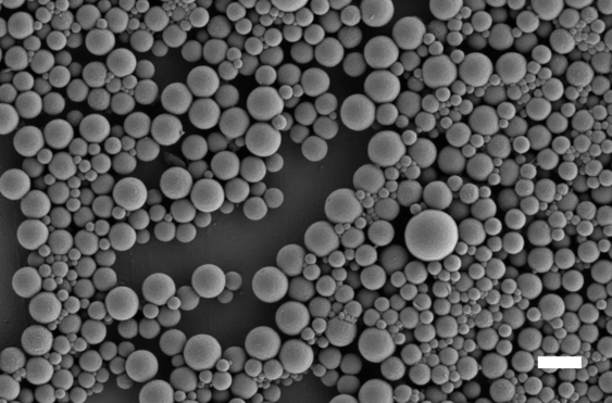 Scanning Electron Microscopy image of a collection of polymer latex particles of varied diameter in the 20-400 nm range.