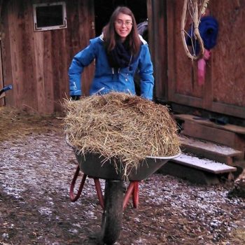 Photograph of a woman pushing a wheelbarrow containing hay.