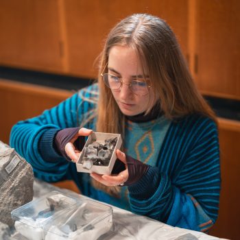 Photo of a seated woman examining a fossil specimen in a box.
