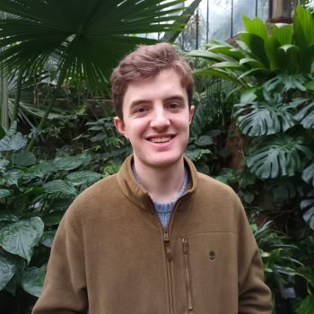 A photo of the upper half of a man standing in front of a background of large tropical leaves.